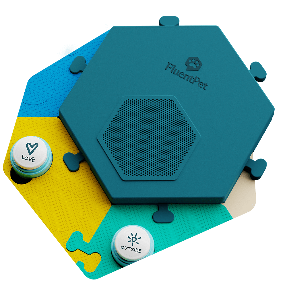 Instead of small, individual sound button speakers, the Connect Base features one large, high-fidelity speaker with the best audio experience we’ve ever delivered. Use your smartphone to record each button's word or sound, which will play back on the high