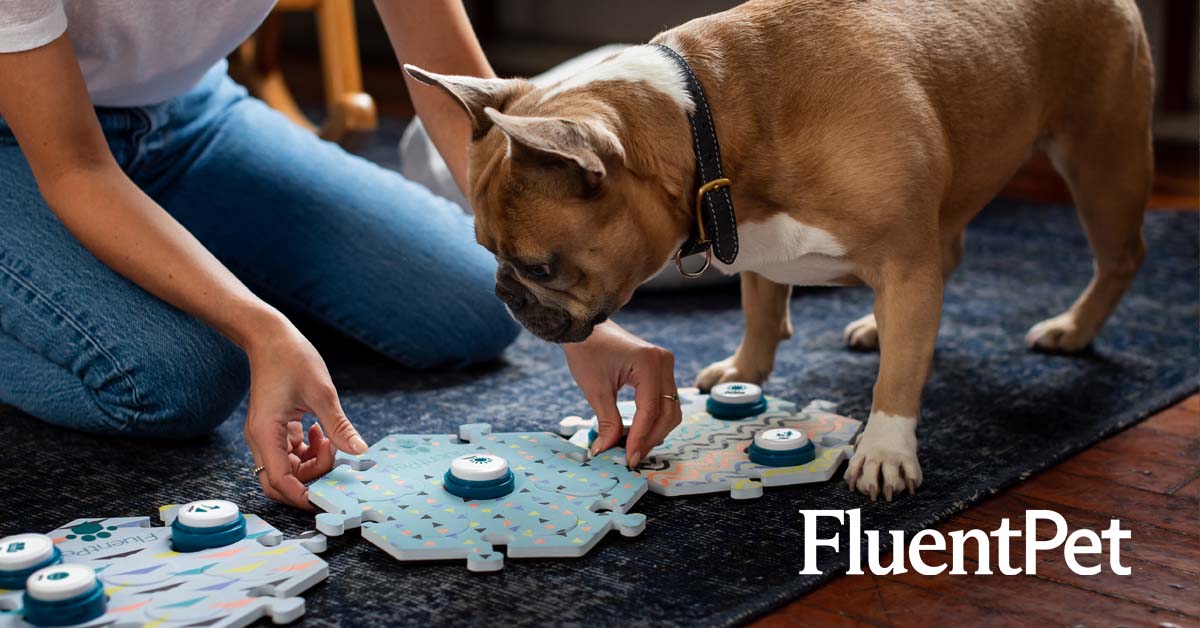 eu.fluent.pet
