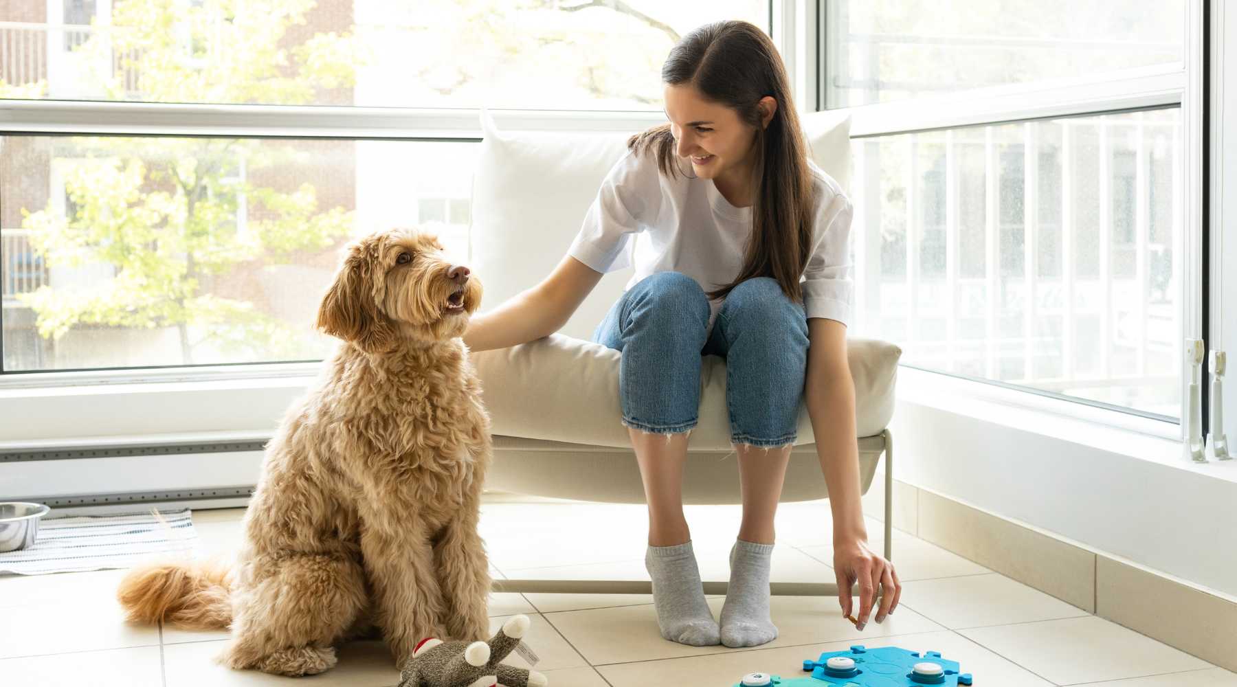 Communication’s Impact on Dog Domestication
