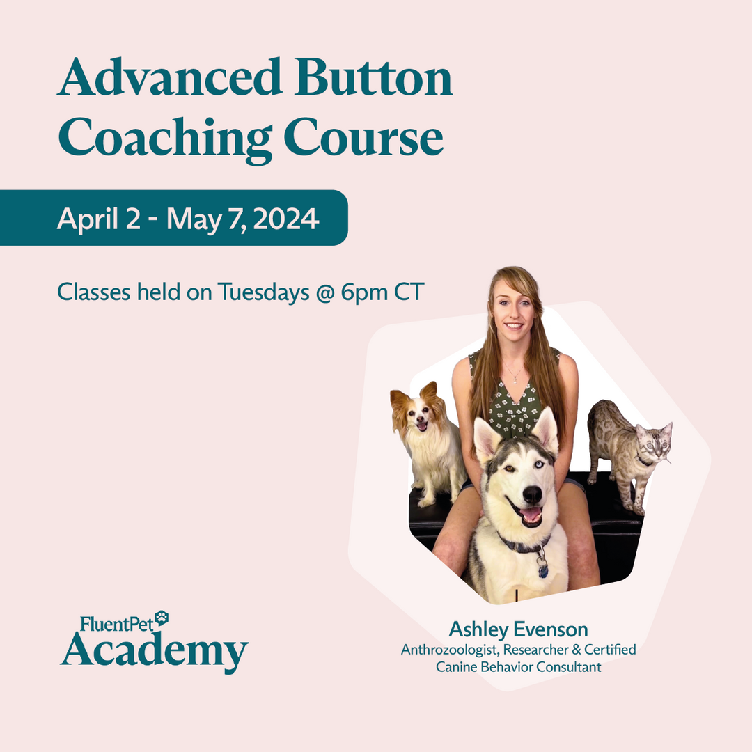 Advanced Button Course