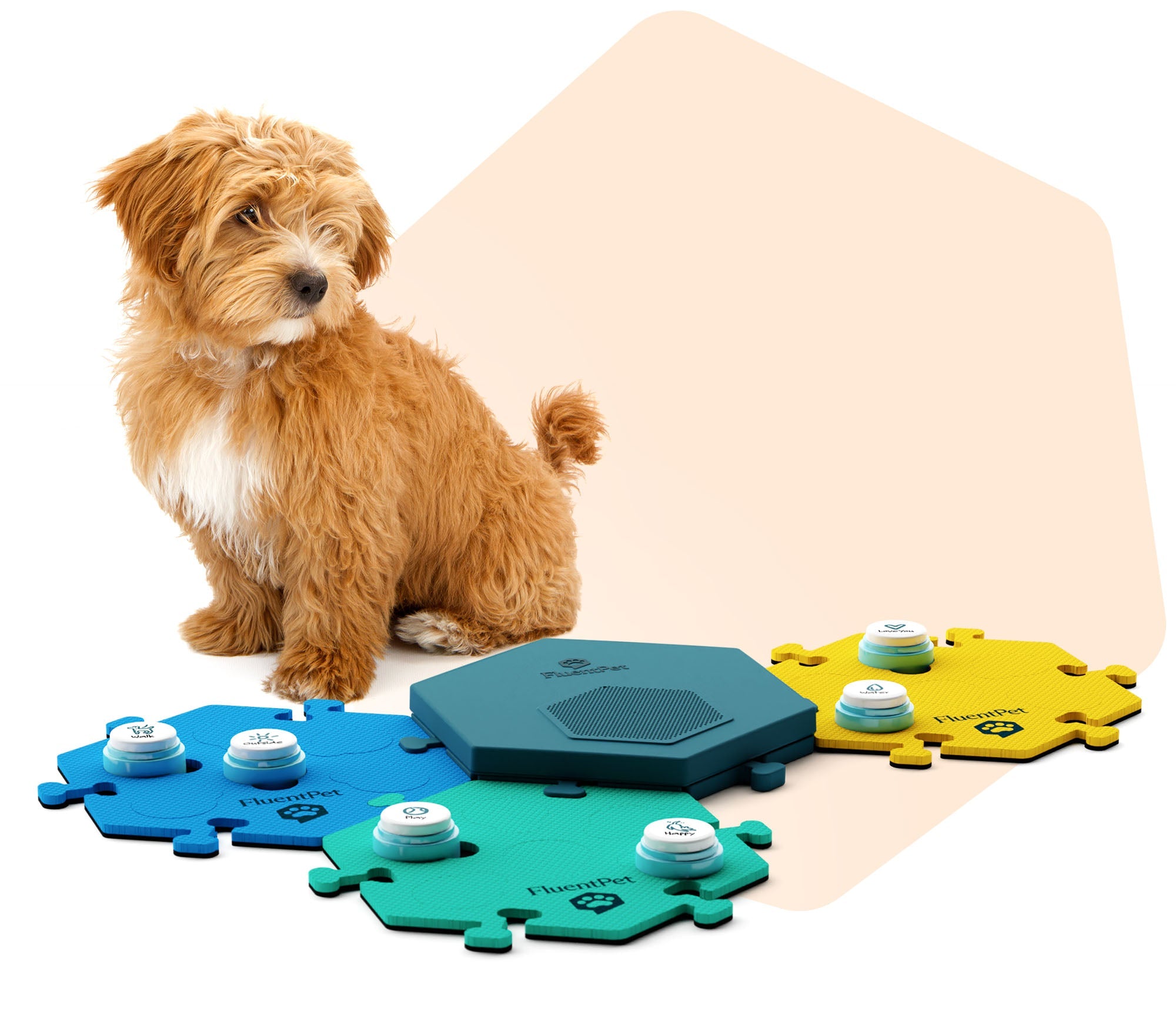 Small Dog Using the FluentPet Connect Buttons and Sound system