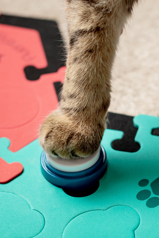 Talking Cat Buttons FluentPet EU